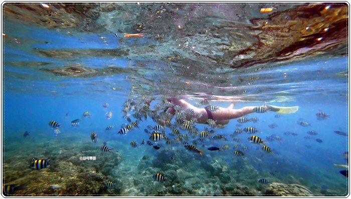 gili nanggu007.JPG