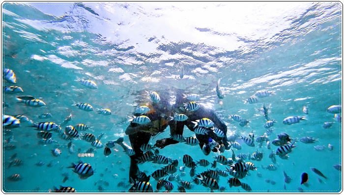 gili nanggu008.JPG