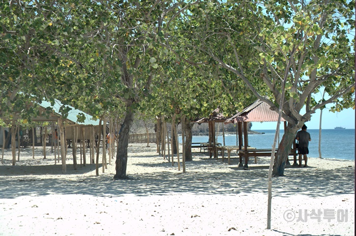 700SIN_6498.jpg