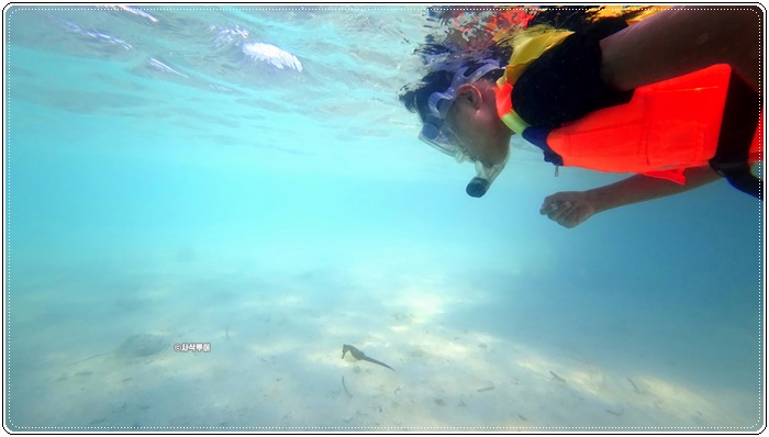 gili sudak013.JPG