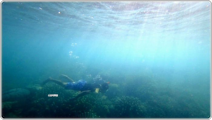 gili sudak011.JPG