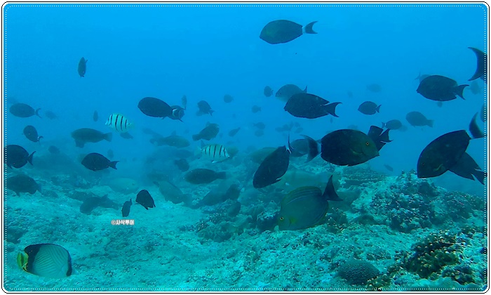 Tanjung Beloam001.jpg