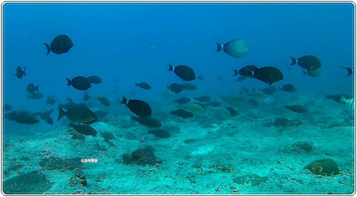 Tanjung Beloam006.jpg