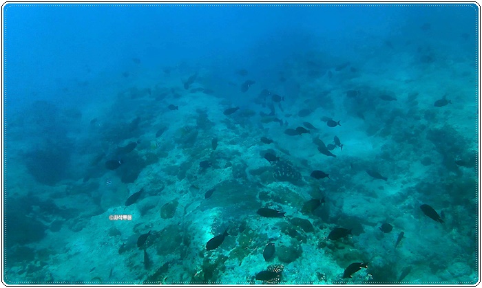 Tanjung Beloam007.jpg