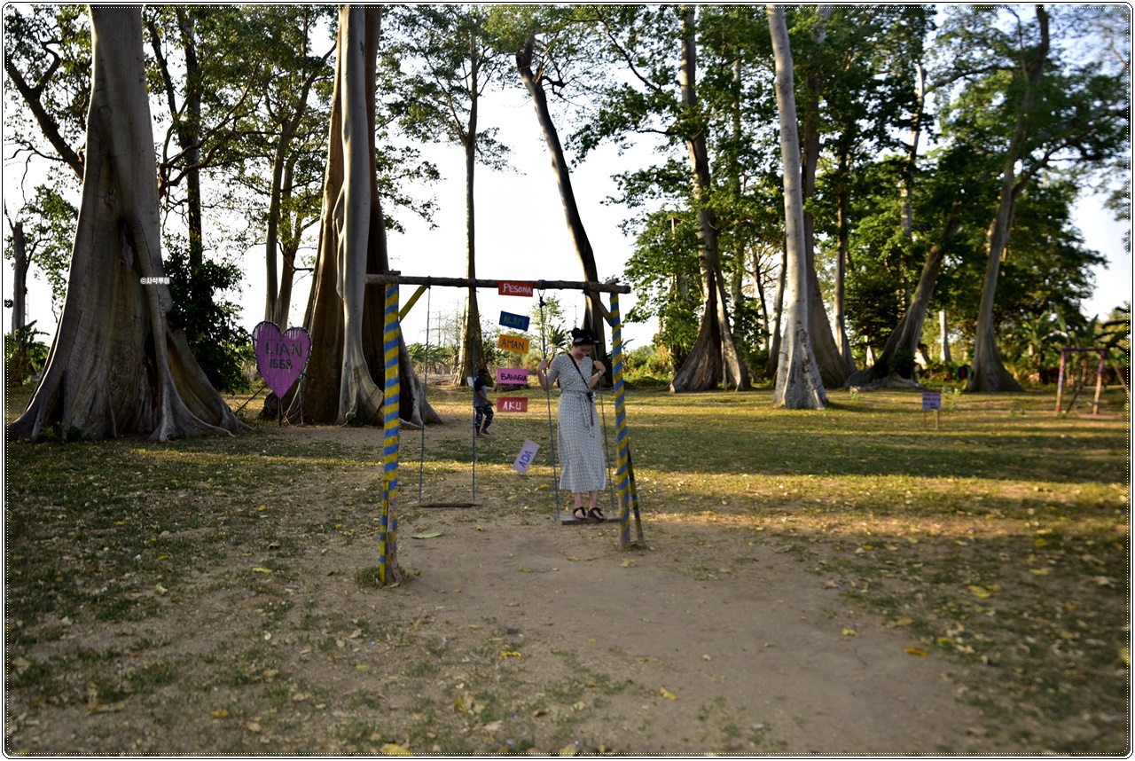 pohonpurba002.JPG