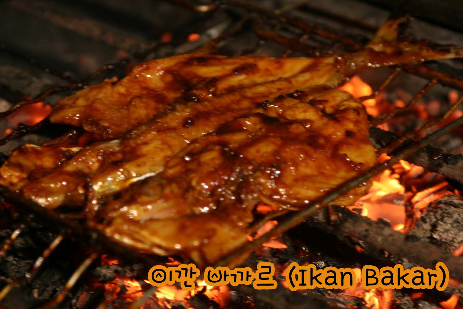 ikan bakar copy.jpg