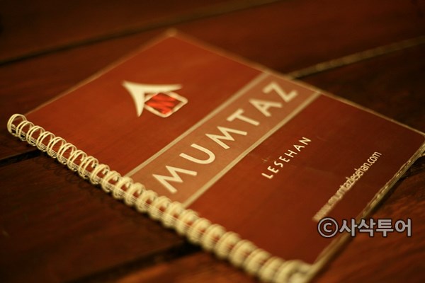 MUMTAZ600023.JPG