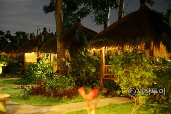 MUMTAZ600016.JPG