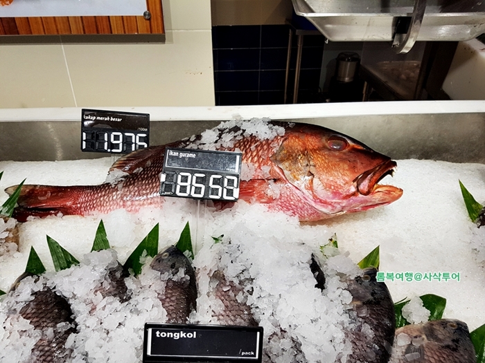 카르푸롬복002.jpg