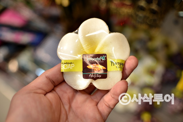 사삭쿠 700016.JPG