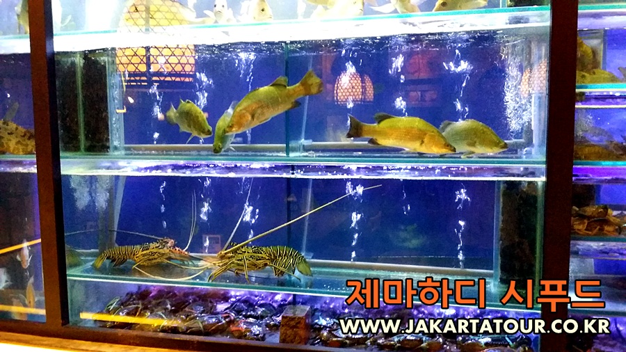 20160301_182101.jpg