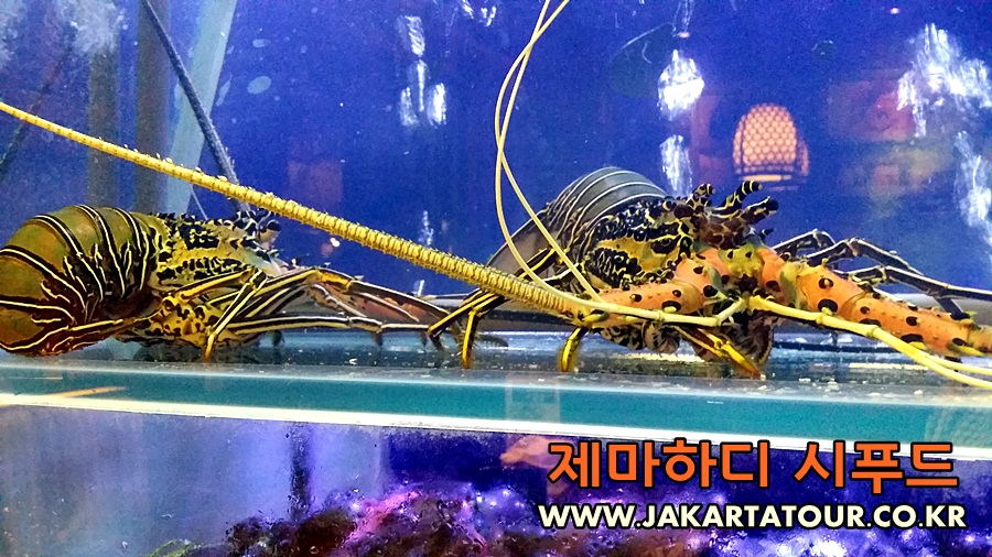 20160301_182315.jpg