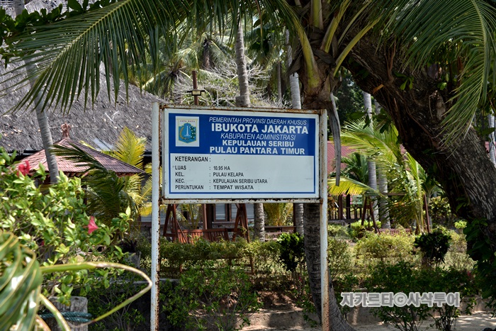 700SIN_8091.JPG