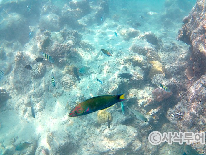 putri snorkeling005.jpg