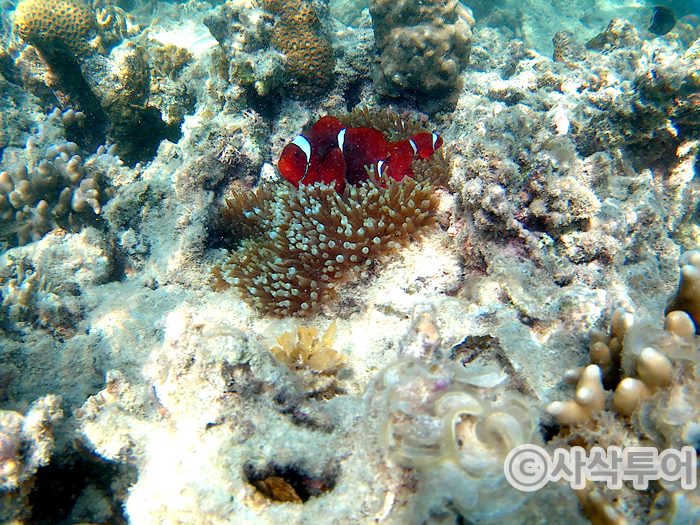 putri snorkeling006.jpg