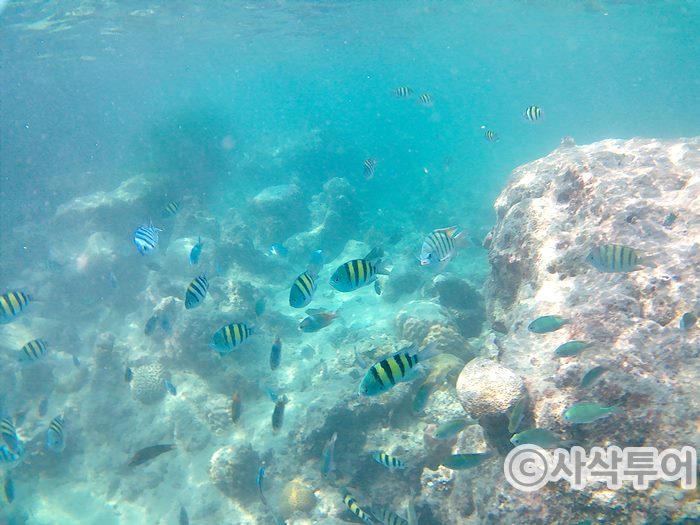putri snorkeling004.jpg