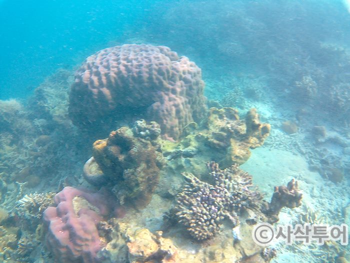 putri snorkeling002.jpg