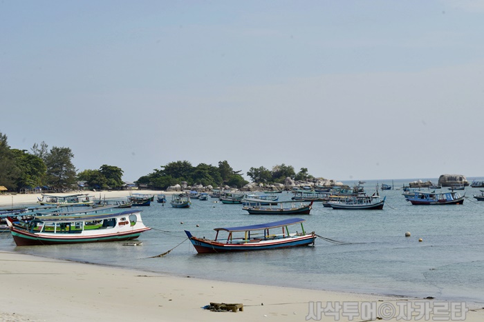 1700_SIN7809.JPG