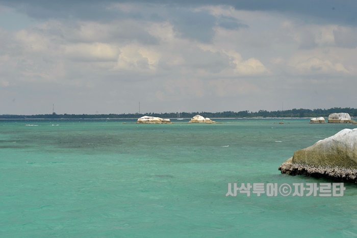 700_SIN8168.JPG