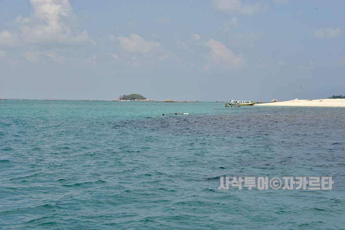 700_SIN8012.JPG