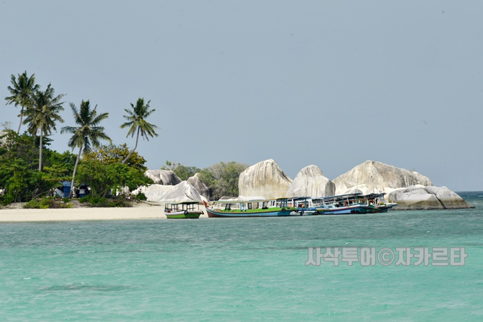 700_SIN8155.JPG