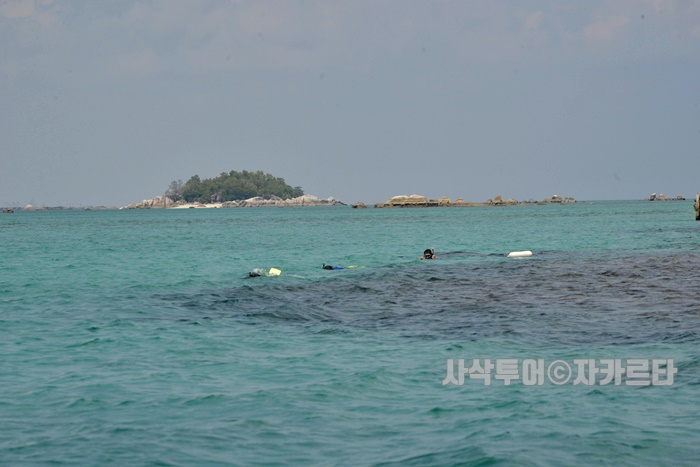 700_SIN8014.JPG