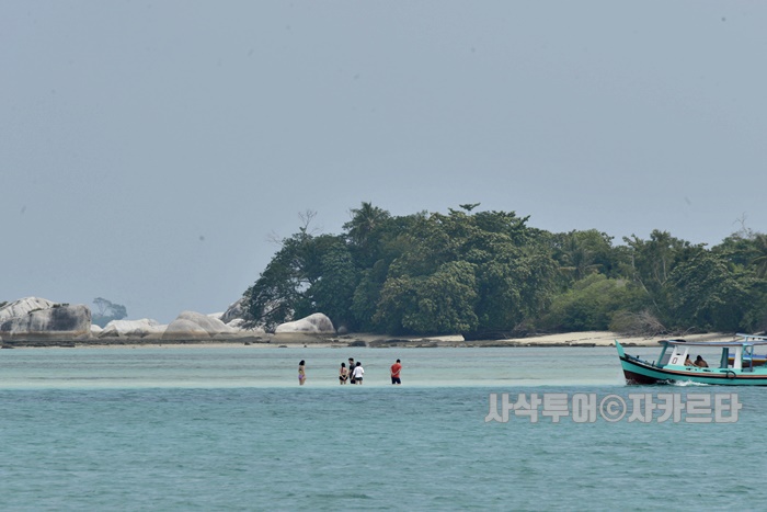 700_SIN7947.JPG