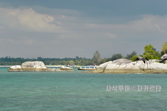 700_SIN8159.JPG