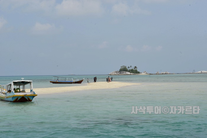 700_SIN7955.JPG