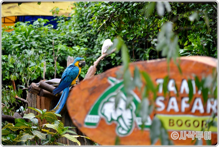 Tamansafari 700SIN_4619.JPG