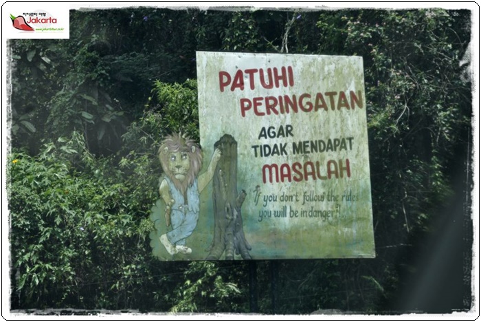 taman safari 12800b24c4089425143ce725e59193cf5e76.JPG