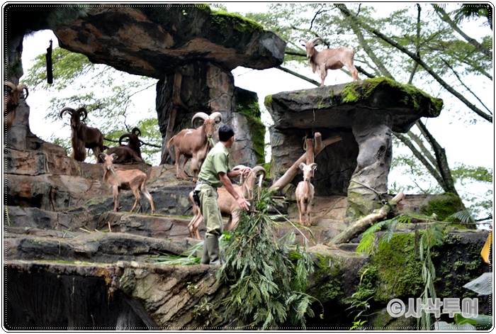 Tamansafari 700SIN_4280.JPG