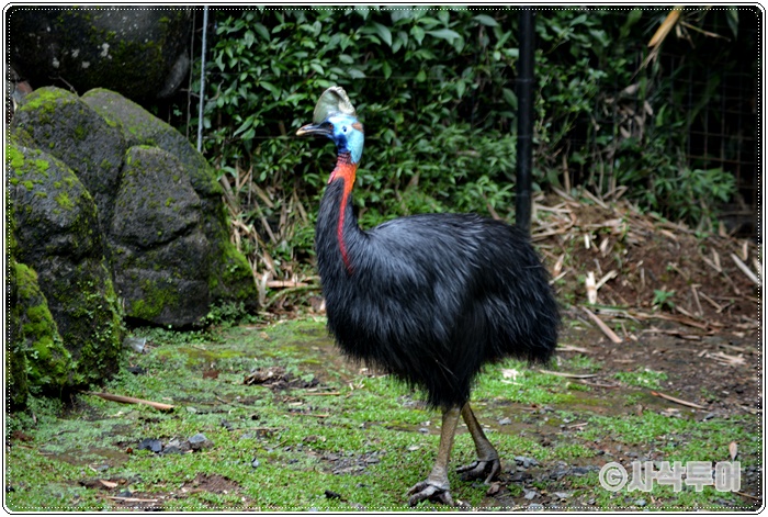 Tamansafari 700SIN_4141.JPG