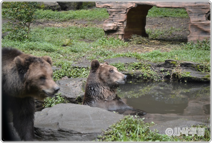 Tamansafari 700SIN_4329.JPG