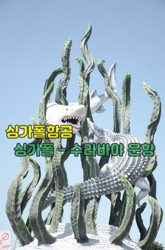 싱가폴항공운항.jpg