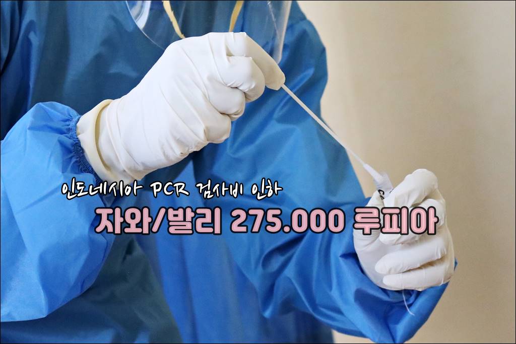 인도네시아pcr검사비인하001.jpg