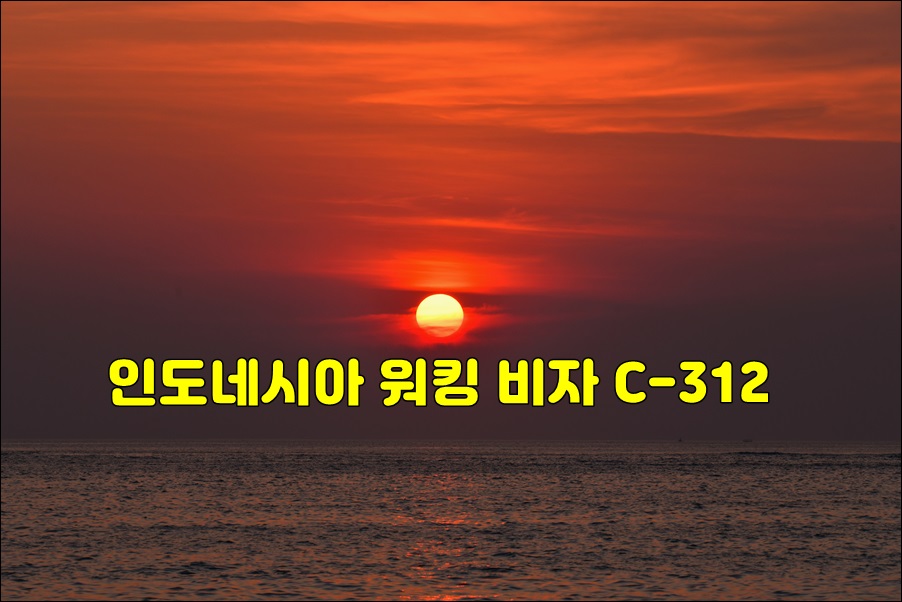 인도네시아 워킹비자.JPG