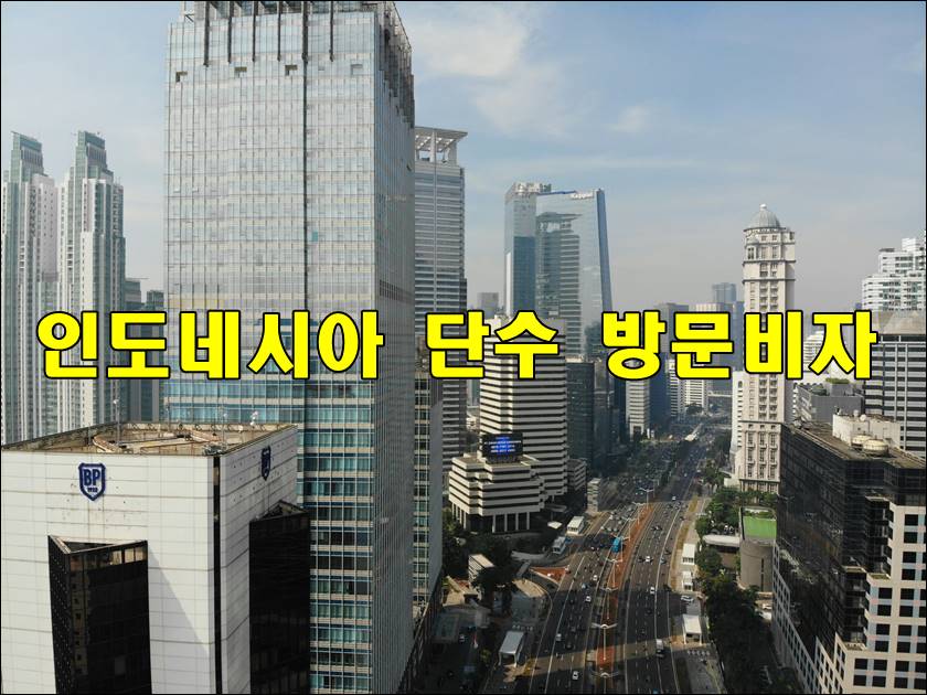 인도네시아단수방문001 (1).jpg