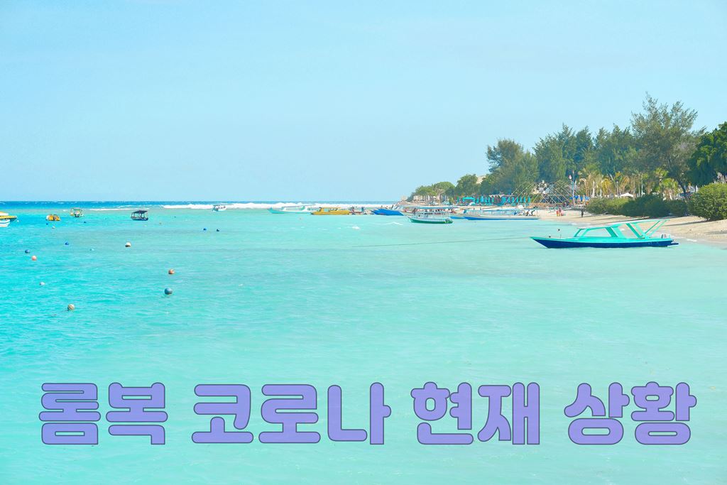 롬복 코로나현재 상황.JPG