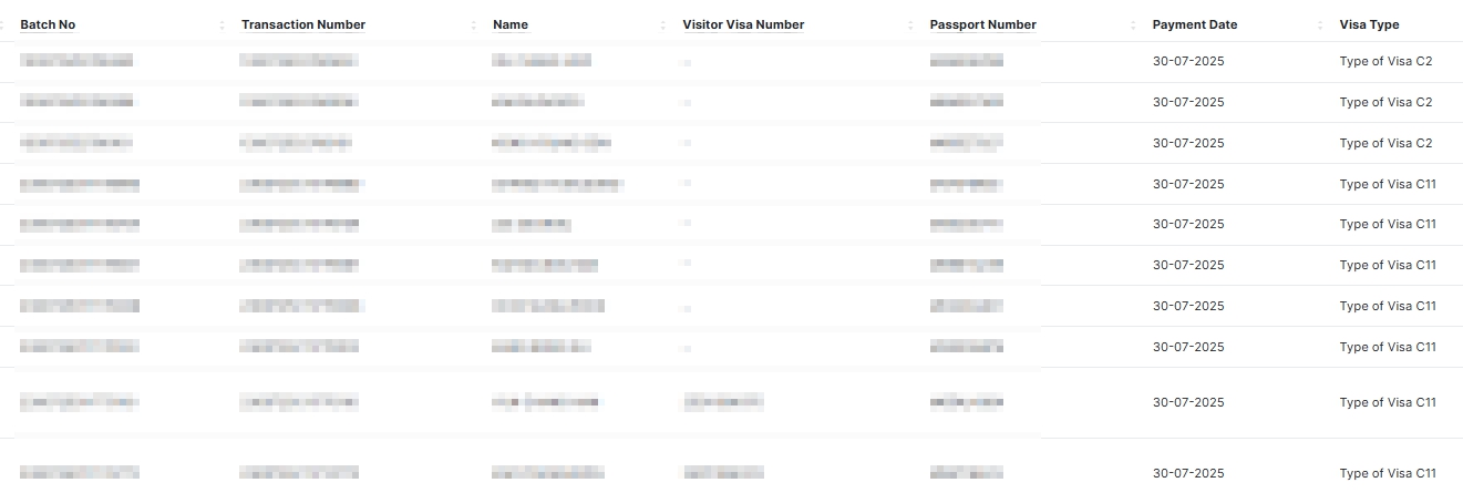 visa10.jpg