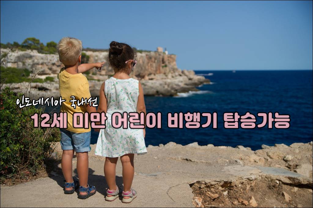 인도네시아국내선001.jpg
