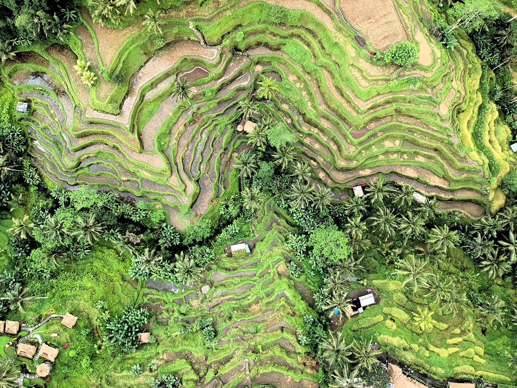 발리여행 6월부터 001.jpg