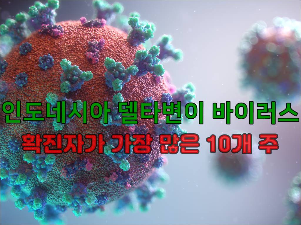 인도네시아델타변이바이러스001.jpg