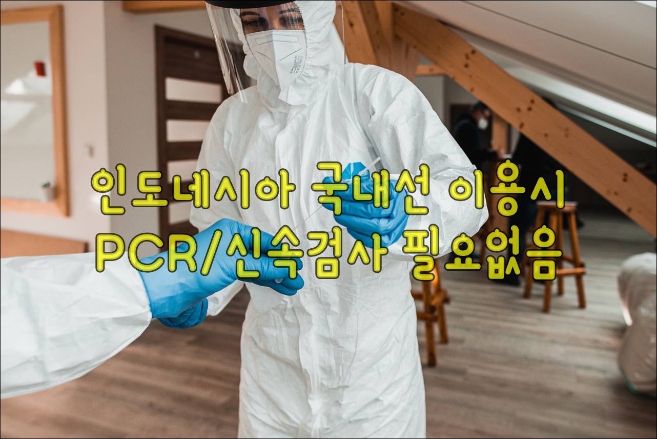 pcr테스트.jpg