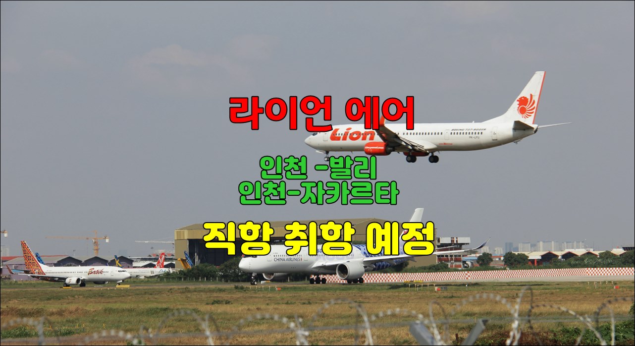 라이언에어.jpg