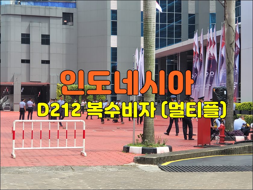 d212비자001.jpg