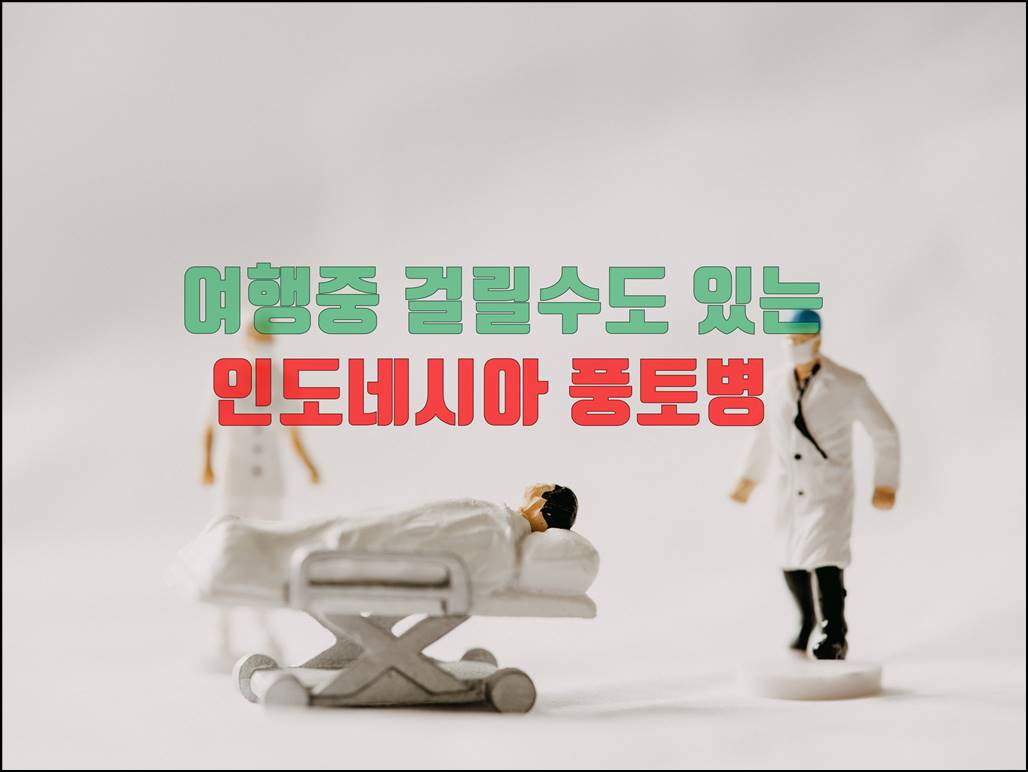인도네시아풍토병종류.jpg