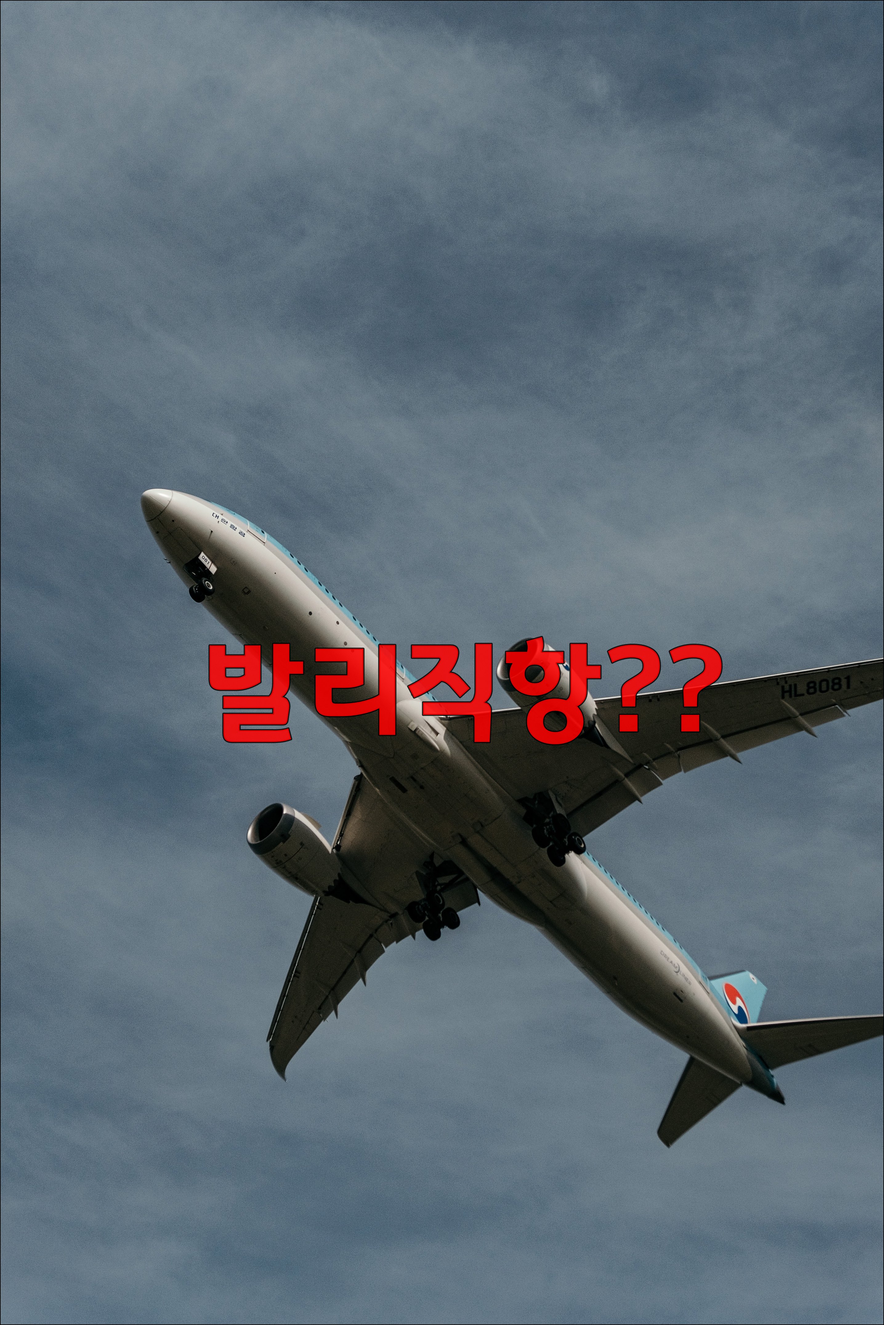 발리직항.jpg