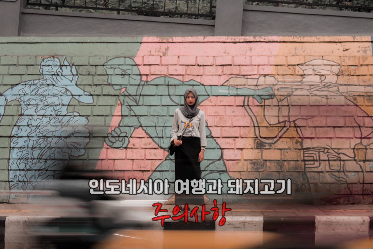 인도네시아여행과돼지고기001.jpg