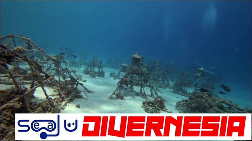 BIO-ROCK-DIVING005.jpg